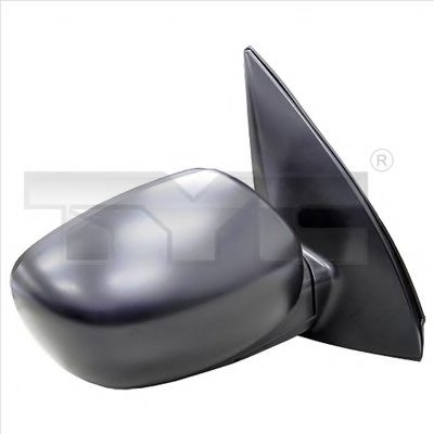 TYC 313-0041 Outside Mirror